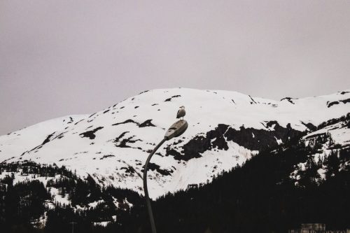 AlaskaSeriesMHY