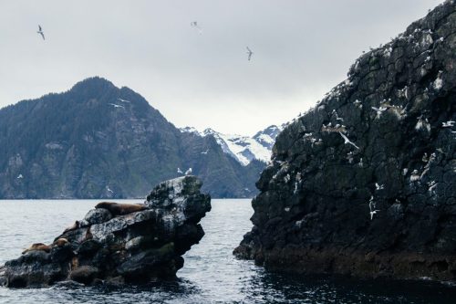 AlaskaSeriesMHY